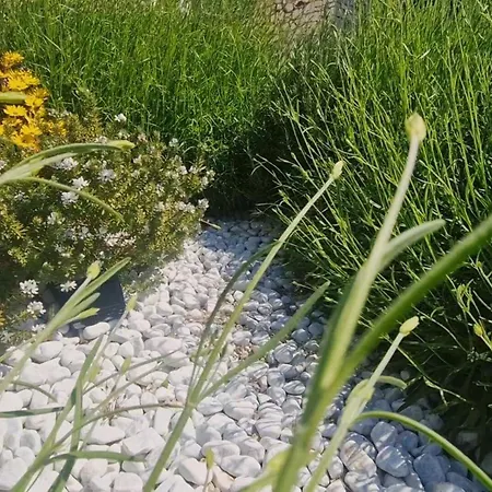 Apartment Jadranka Rogoznica (Sibenik-Knin)