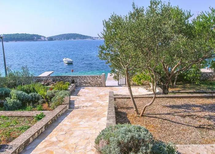 Jadranka * Рогозница