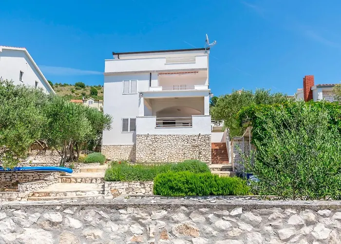 Jadranka * Рогозница