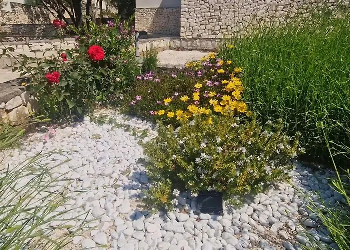 Jadranka Рогозница